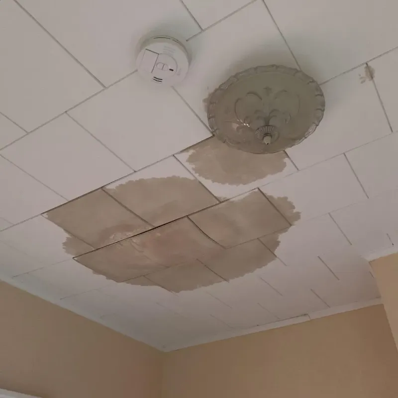 Ceiling Water Damage Repair in Drain, OR
