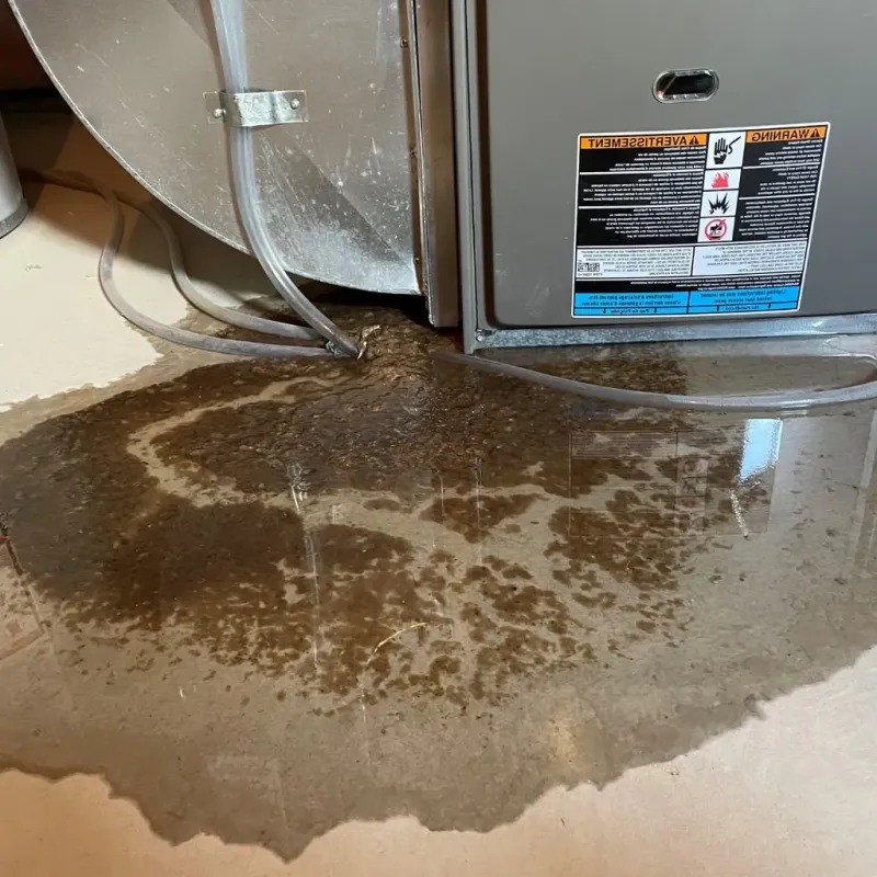 Pipe Burst and Leak Restoration in Drain, OR